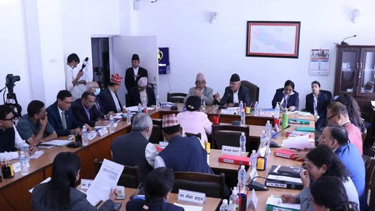 नर्सिङ शिक्षाको विवाद संसदीय समितिमा